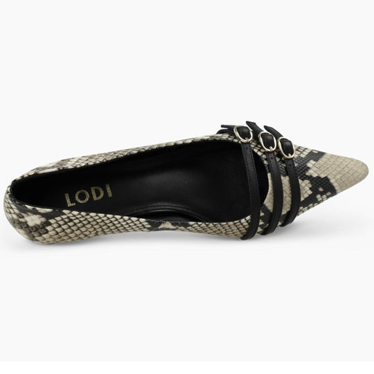 Lodi A-ROMA Animal Print Courts