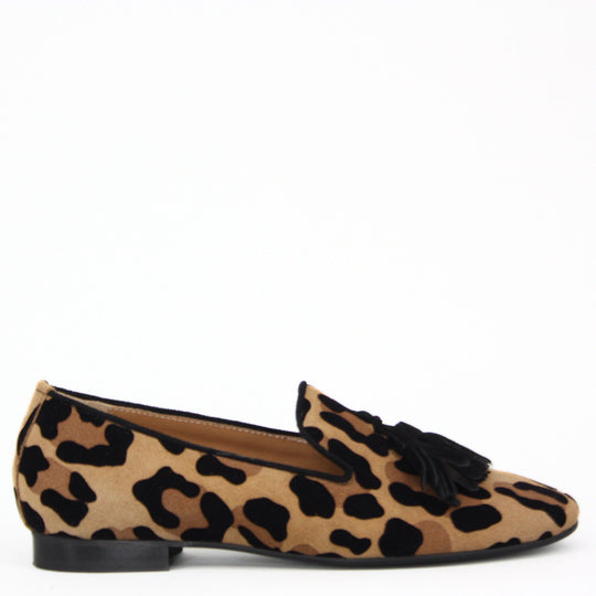 Gerry Mc Guire's DANTE Suede Leopard Print Pumps