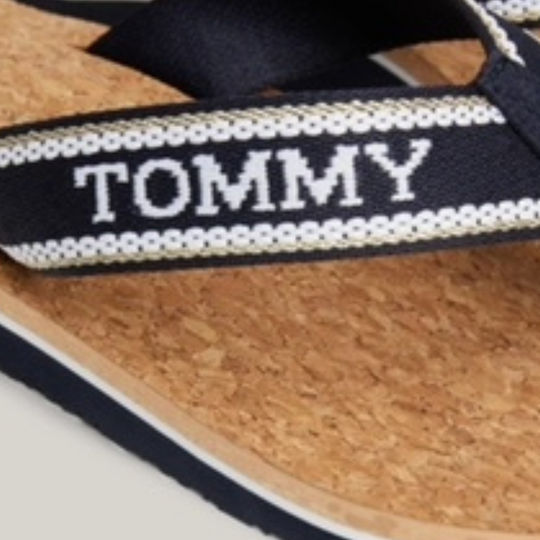 Tommy Hilfiger MONOTYPE Navy Flip-Flops