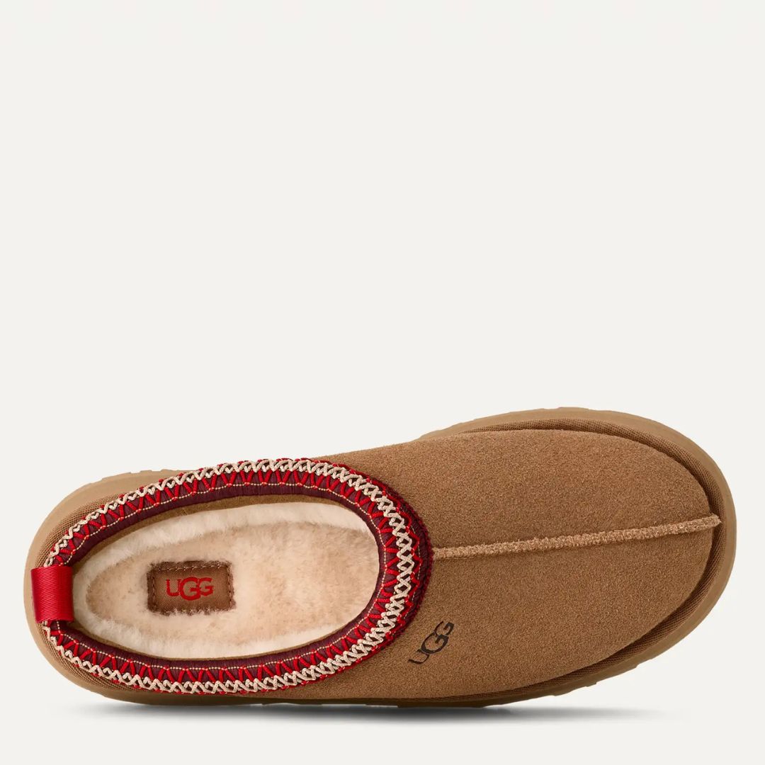 UGG TAZZ II in Chestnut